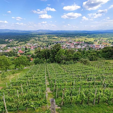 Zidanica-Vineyard Cottage Jakse Semic Dış mekan fotoğraf