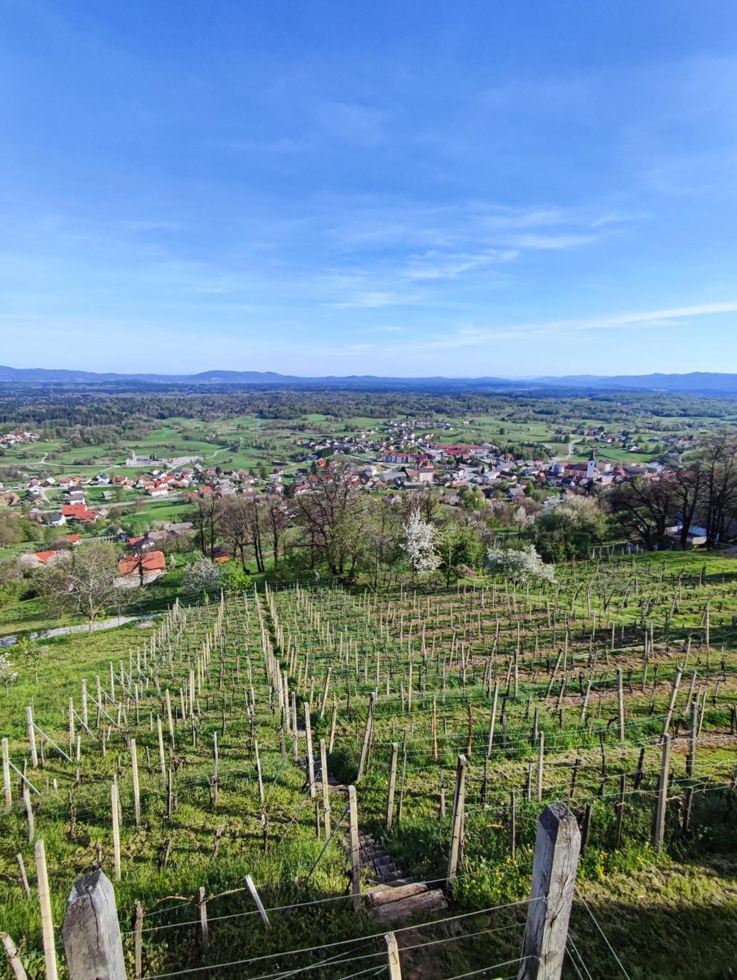 Zidanica-Vineyard Cottage Jakse Semic Dış mekan fotoğraf